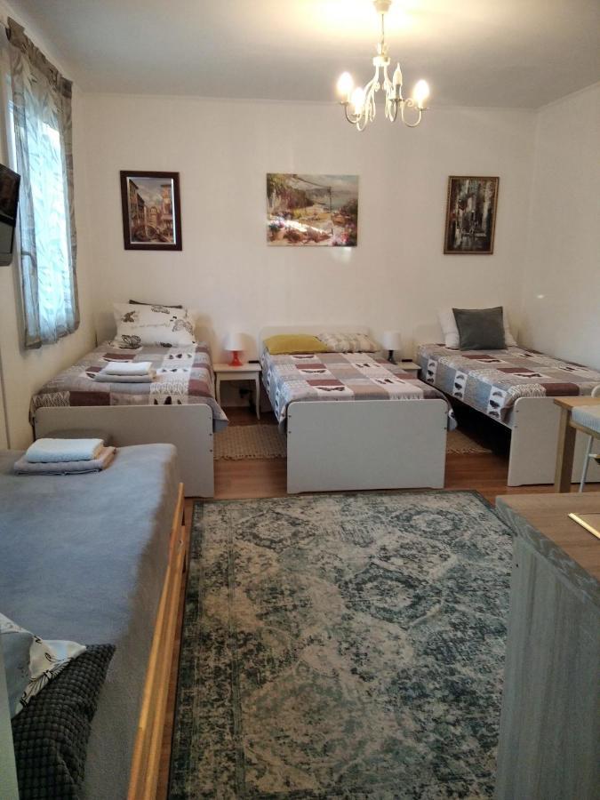 Eco-Lux Apart With Free Bicycles End Free Parking Ljubljana Bagian luar foto