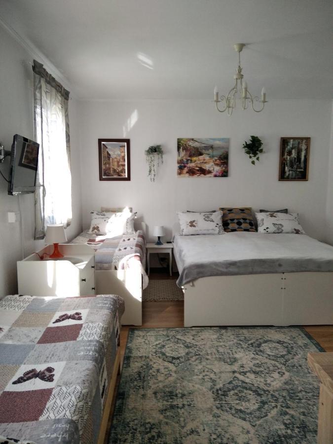 Eco-Lux Apart With Free Bicycles End Free Parking Ljubljana Bagian luar foto