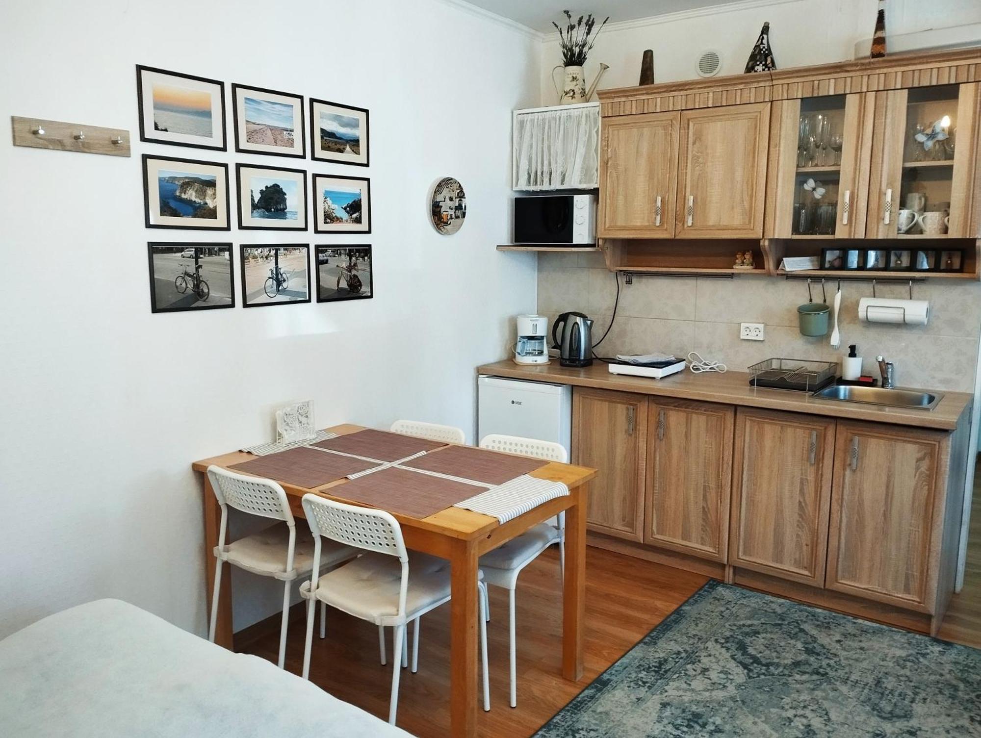 Eco-Lux Apart With Free Bicycles End Free Parking Ljubljana Bagian luar foto
